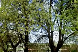 Тристаен апартамент в Плевен, Широк център