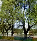 Тристаен апартамент в Плевен, Широк център