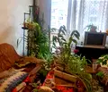 Снимка 4 — Тристаен апартамент в София, Сухата река