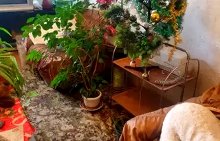 Тристаен апартамент в София, Сухата река