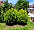 Снимка 3 — Тристаен апартамент в Бургас, к.к. Елените