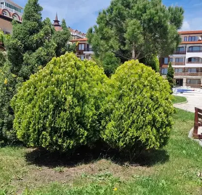 Снимка 3 — Тристаен апартамент в Бургас, к.к. Елените