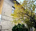 Снимка 2 — Тристаен апартамент в Монтана, Вършец
