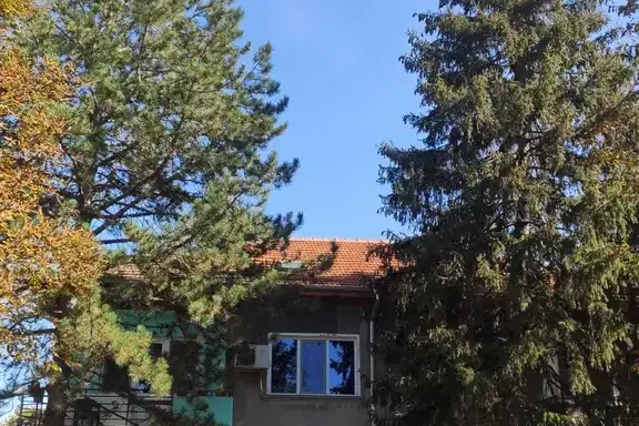 Тристаен апартамент в Плевен, Левски