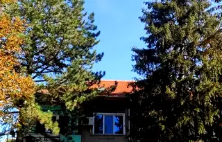 Тристаен апартамент в Плевен, Левски