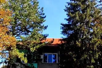 Тристаен апартамент в Плевен, Левски