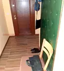 Тристаен апартамент във Враца, Козлодуй
