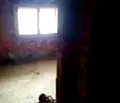 Снимка 2 — Тристаен апартамент във Враца, Мездра