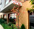 Снимка 3 — Заведение в София, Кръстова вада