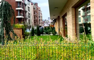 Заведение в София, Кръстова вада