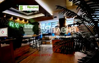 Заведение в Бургас, Лазур
