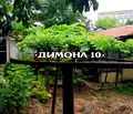 Снимка 5 — Заведение в Русе, Промишлена зона - Изток