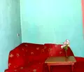 Снимка 5 — Заведение в Ловеч, Здравец