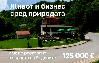 Заведение в Пловдив, с. Дедево