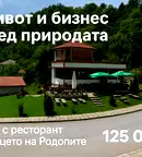 Заведение в Пловдив, с. Дедево