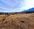 Снимка 3 — Земеделски имот в Благоевград, Разлог
