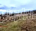 Снимка 3 — Земеделски имот в Бургас, с. Драчево