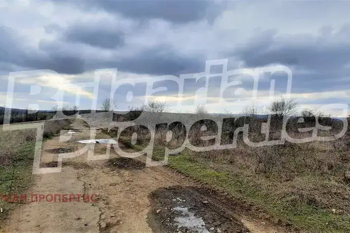 Agricultural Land in Burgas, Drachevo