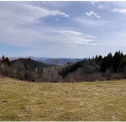 Photo 2 — Agricultural Land in Oblast Smolyan, Levochevo