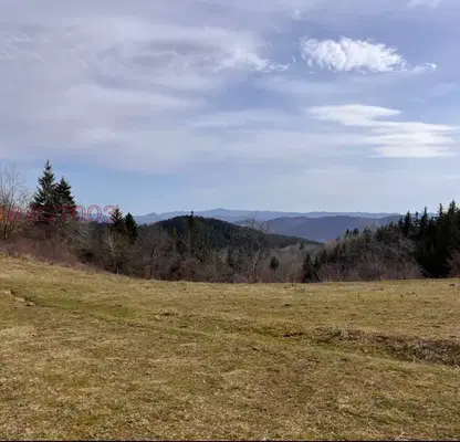 Photo 3 — Agricultural Land in Oblast Smolyan, Levochevo