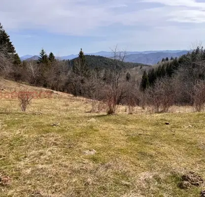 Photo 4 — Agricultural Land in Oblast Smolyan, Levochevo