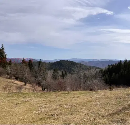 Photo 5 — Agricultural Land in Oblast Smolyan, Levochevo