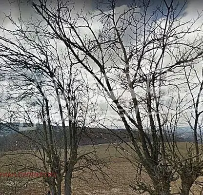 Photo 3 — Agricultural Land in Oblast Veliko Tyrnovo, Blyskovci