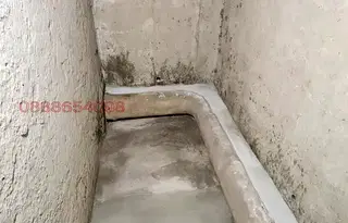 Склад в София, Дървеница