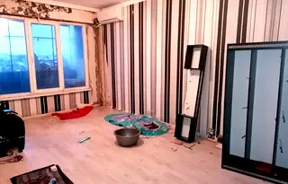 Двустаен апартамент в Добрич, Балик