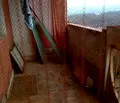 Снимка 3 — Тристаен апартамент в Плевен, Дружба 3