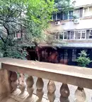 Двустаен апартамент с паркомясто в Център, София