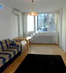 Тристаен апартамент в София, Център