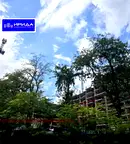 Многостаен апартамент в София, Оборище