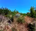 Снимка 3 — Парцел в Добрич, Балчик