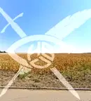 Парцел в Бургас, Лозово