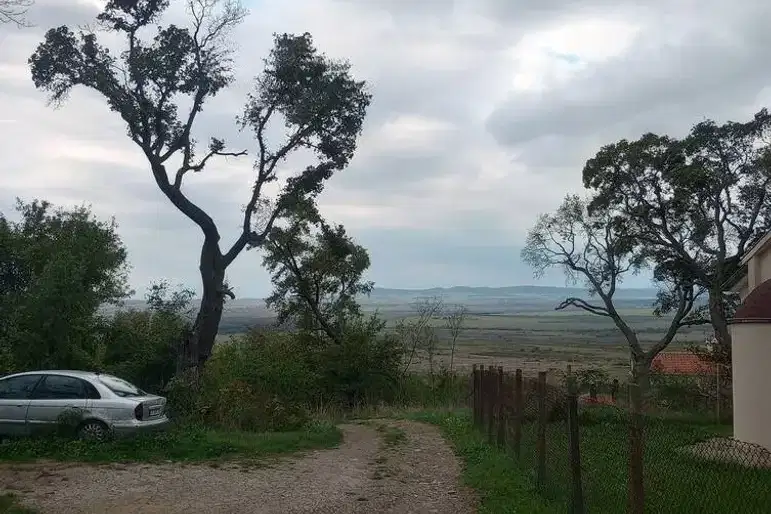Plot in Oblast Burgas, Elenite