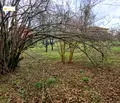 Снимка 5 — Парцел във Велико Търново, Лясковец