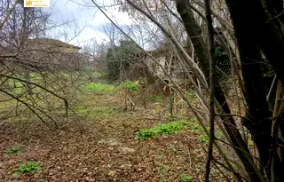 Парцел във Велико Търново, Лясковец