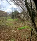 Парцел във Велико Търново, Лясковец