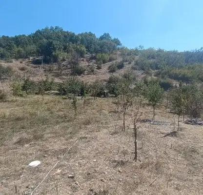 Photo 3 — Plot in Oblast Kyrdjali, Момчил