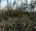 Снимка 5 — Парцел в Русе, в.з. Касева Чешма