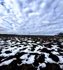 Парцел в Русе, в.з. Касева Чешма