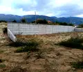 Снимка 4 — Парцел в Пловдив, с. Анево