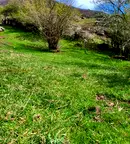 Парцел в Пловдив, с. Белица