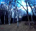 Снимка 2 — Парцел в с. Бистрица