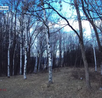 Photo 2 — Plot in Bistrica