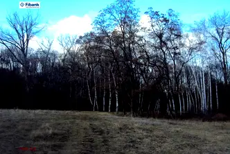 Парцел в с. Бистрица