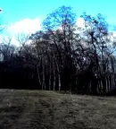 Парцел в с. Бистрица