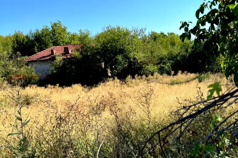Plot in Oblast Lovech, Brestovo