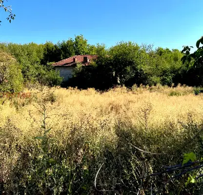 Photo 2 — Plot in Oblast Lovech, Brestovo